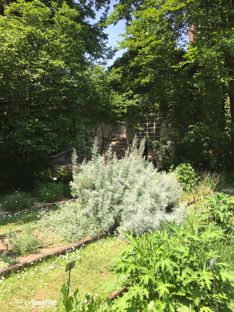 2015-04-18_Brera_Orto_BOtanico_13