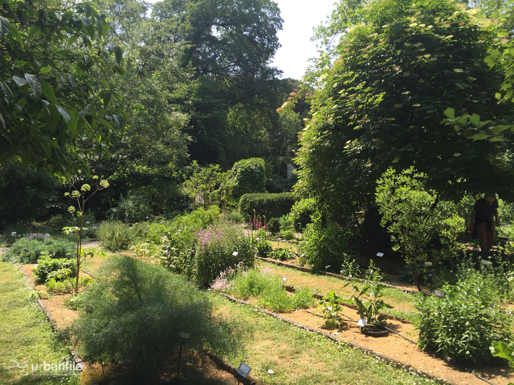 2015-04-18_Brera_Orto_BOtanico_17