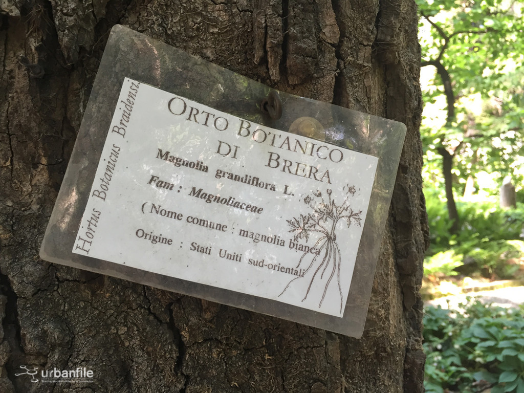 2015-04-18_Brera_Orto_BOtanico_23