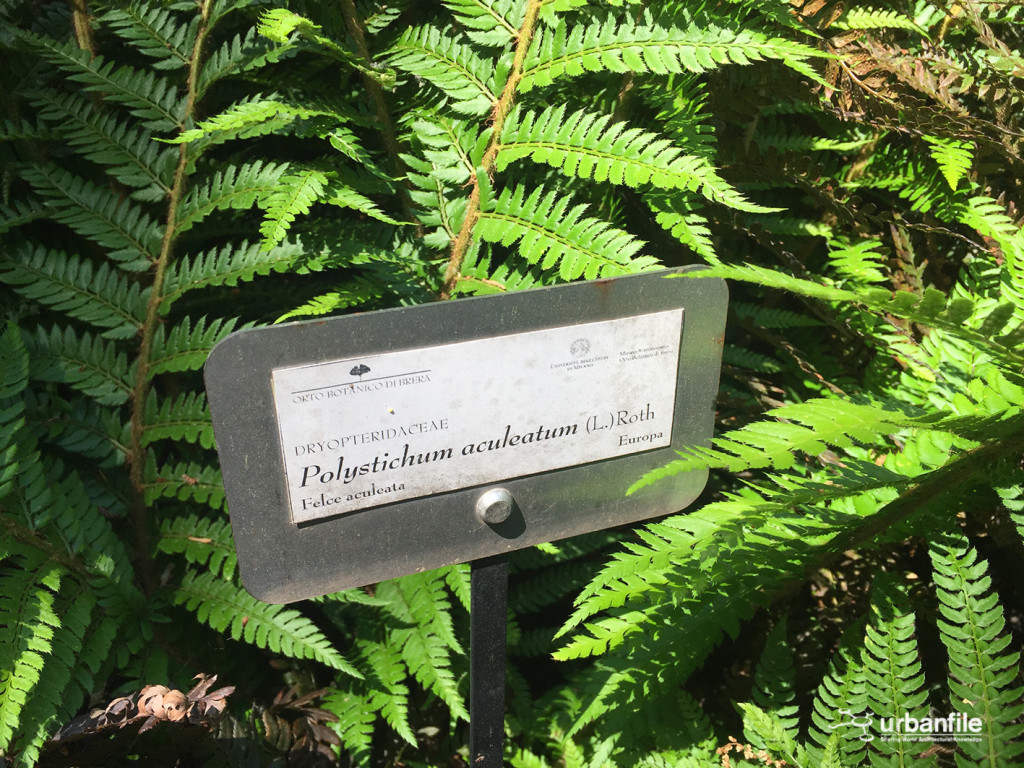 2015-04-18_Brera_Orto_BOtanico_24