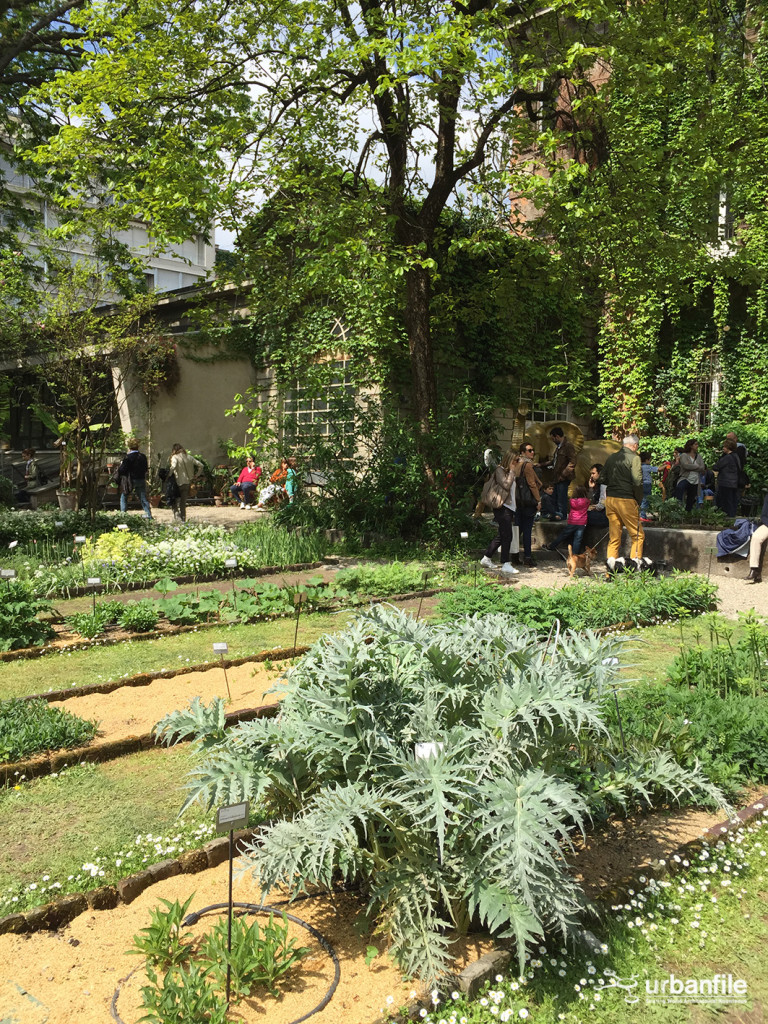 2015-04-18_Brera_Orto_BOtanico_3