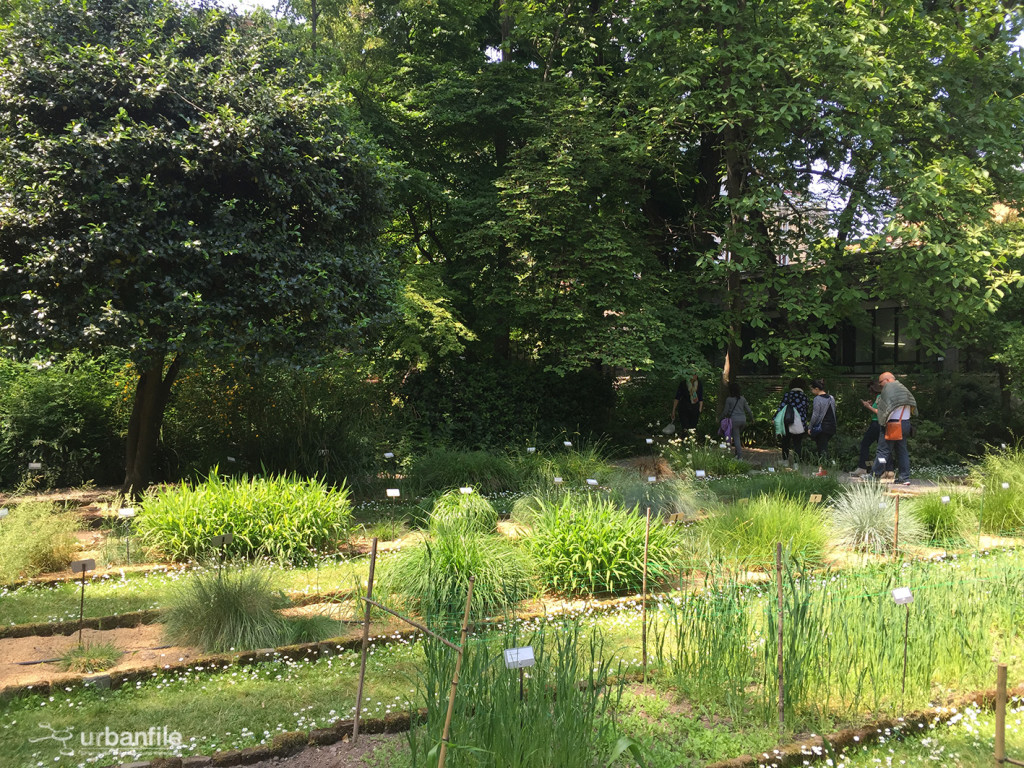 2015-04-18_Brera_Orto_BOtanico_5