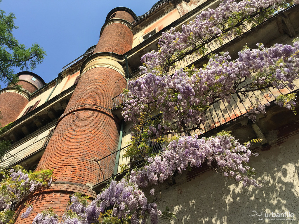 2015-04-18_Brera_Orto_BOtanico_7