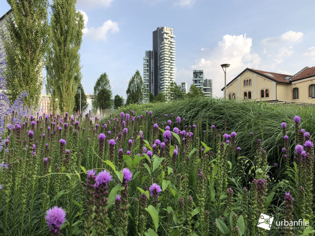 Milano | Porta Nuova - Verde Pubblico: i fiori della ...