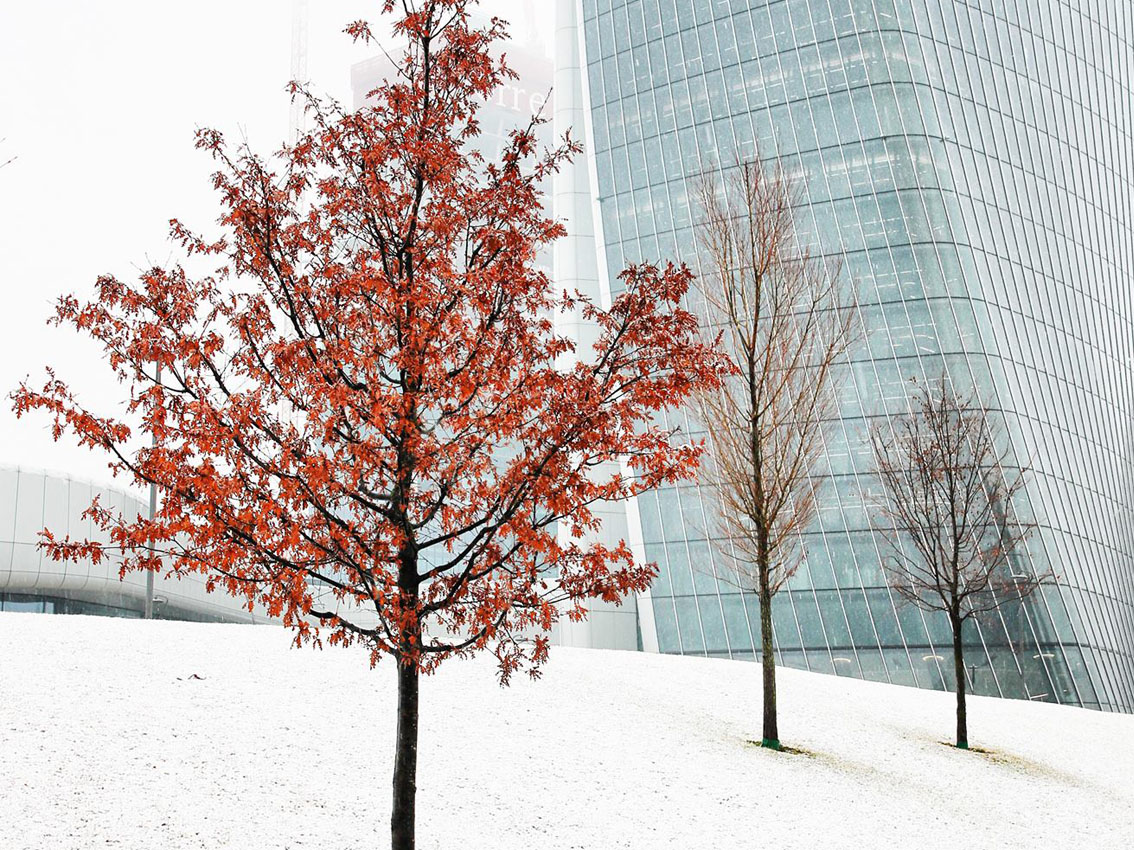 Milano | Tre Torri – Citylife sotto la prima nevicata del 2019