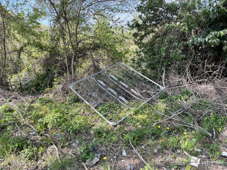 Milano Gallaratese Il bosco della Merlata e quel che ne rimane