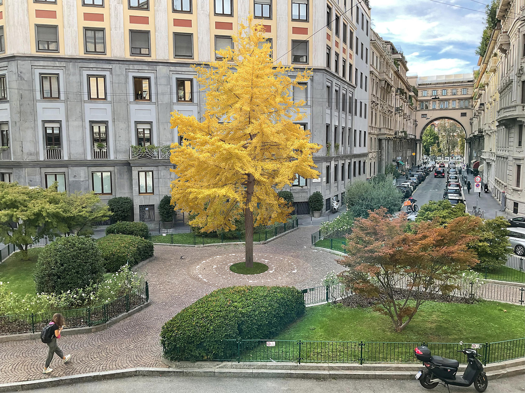 Milano | Porta Venezia – In piazza Eleonora Duse arriverà un albero di 10 metri