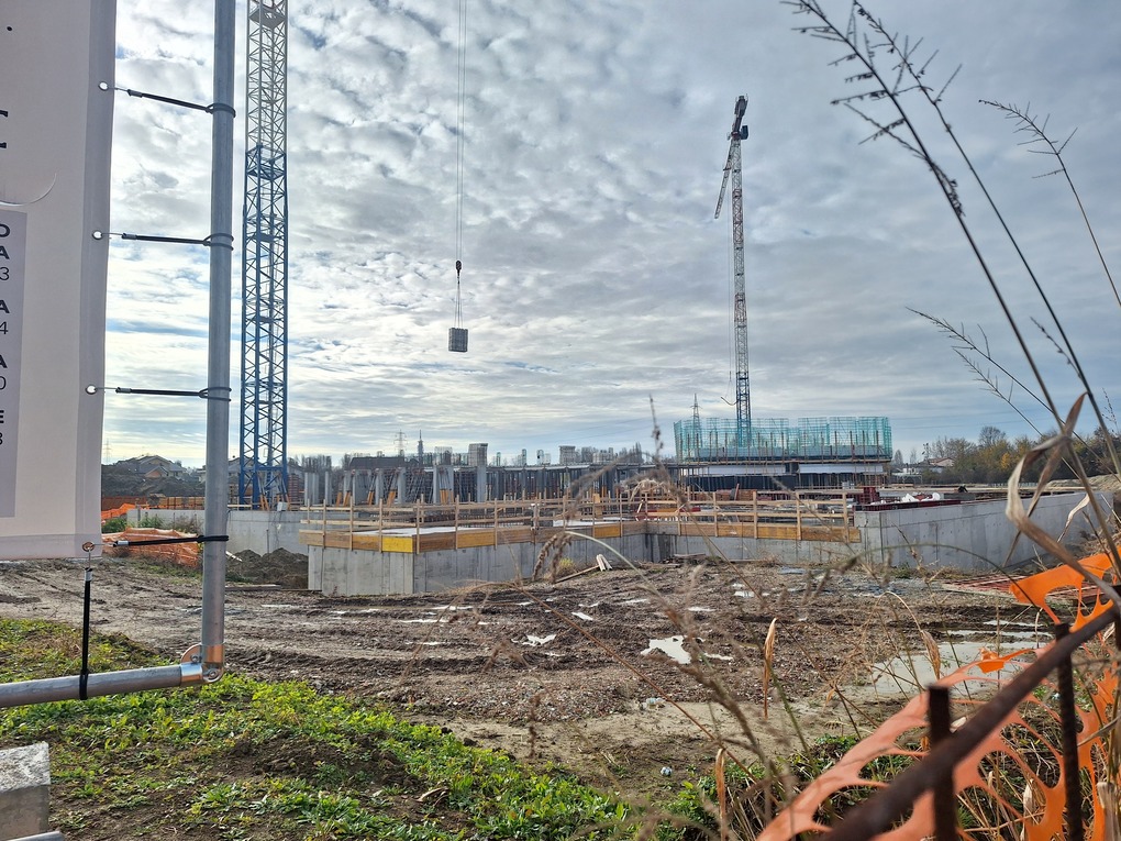 Padova | Zairo Urban Forest: cantiere dicembre 2025