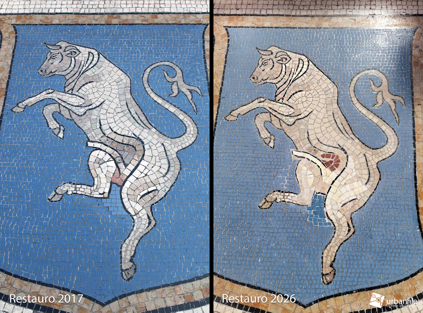 Milano | Centro Storico – Il Toro in Galleria dopo il restauro “è diventato un bue”