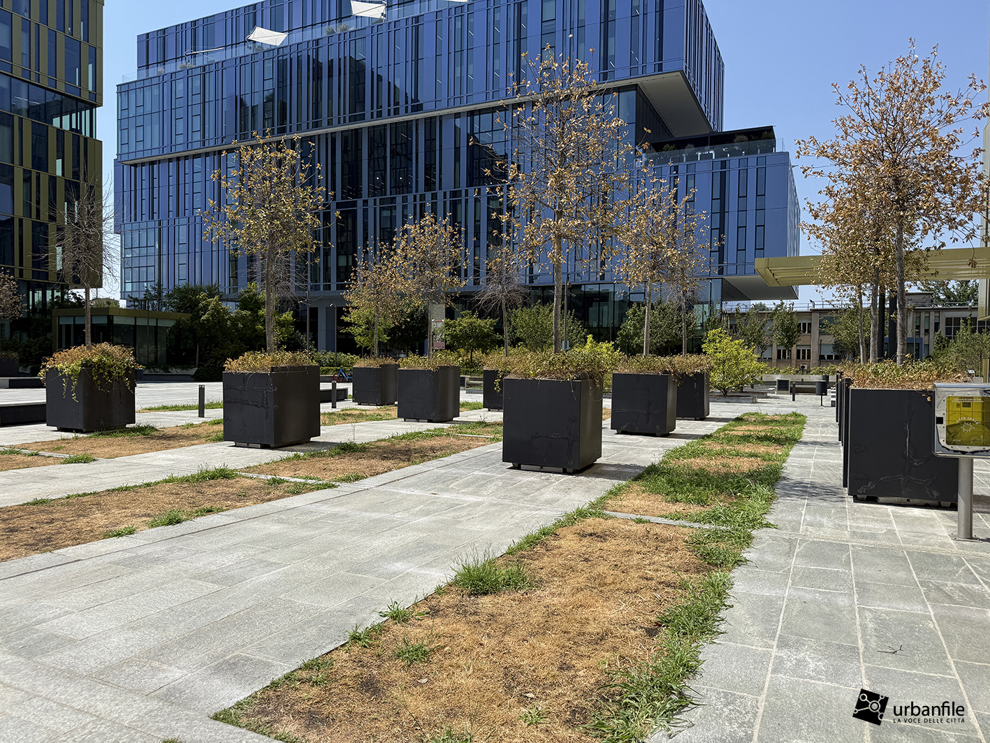 Milano | Barona – Piazza Fernanda Pivano: inaugurata da pochi mesi, ma il verde è già in sofferenza